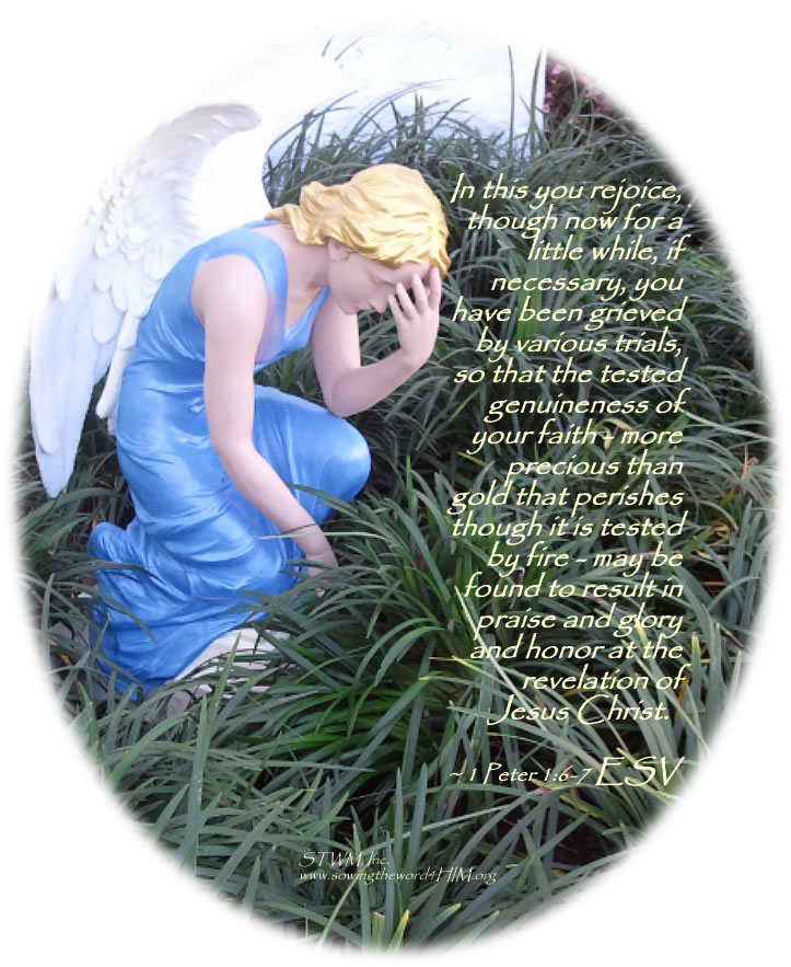 Angel_praying