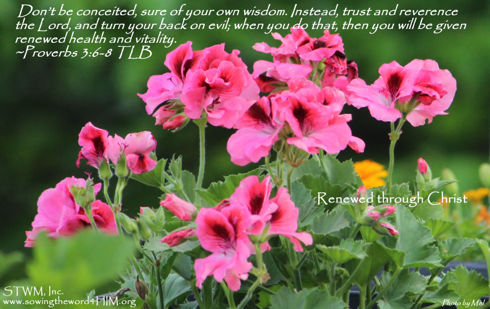Renewed_through_Christ